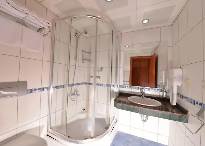 酒店 贝德尼兹别墅酒店 3*